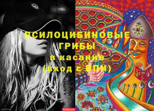 круглые Белокуриха